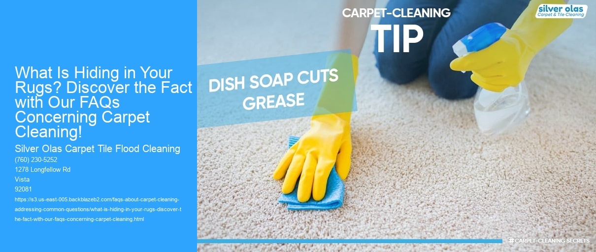 What Is Hiding in Your Rugs? Discover the Fact with Our FAQs Concerning Carpet Cleaning!