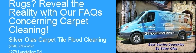 What Is Hiding in Your Rugs? Reveal the Reality with Our FAQs Concerning Carpet Cleaning!