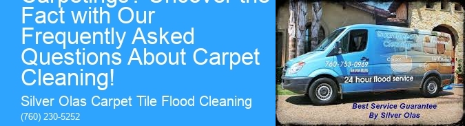 What Is Hiding in Your Carpetings? Uncover the Fact with Our Frequently Asked Questions About Carpet Cleaning!