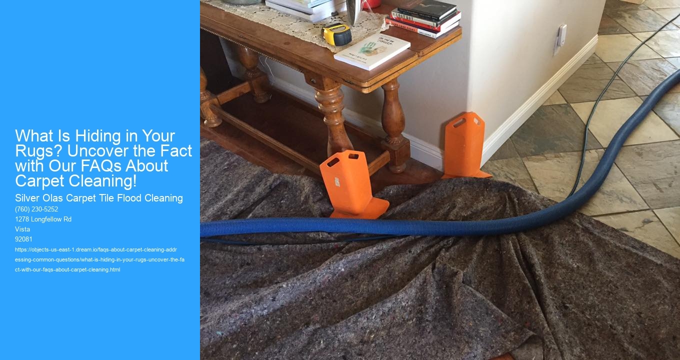 What Is Hiding in Your Rugs? Uncover the Fact with Our FAQs About Carpet Cleaning!
