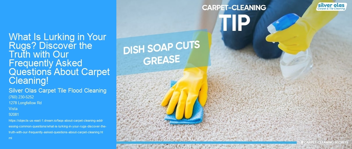 What Is Lurking in Your Rugs? Discover the Truth with Our Frequently Asked Questions About Carpet Cleaning!