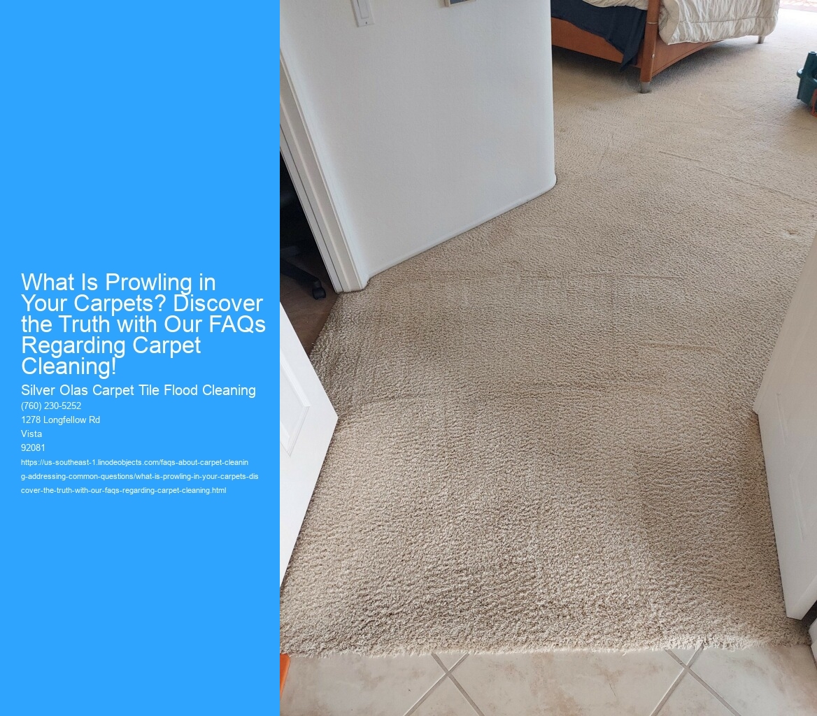 What Is Prowling in Your Carpets? Discover the Truth with Our FAQs Regarding Carpet Cleaning!