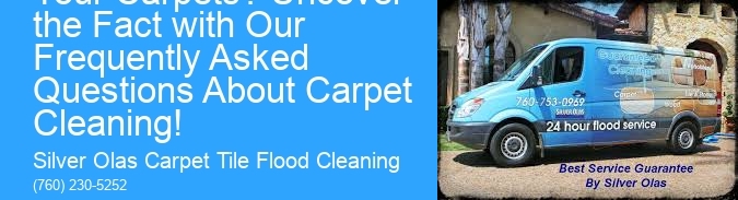 What Is Prowling in Your Carpets? Uncover the Fact with Our Frequently Asked Questions About Carpet Cleaning!