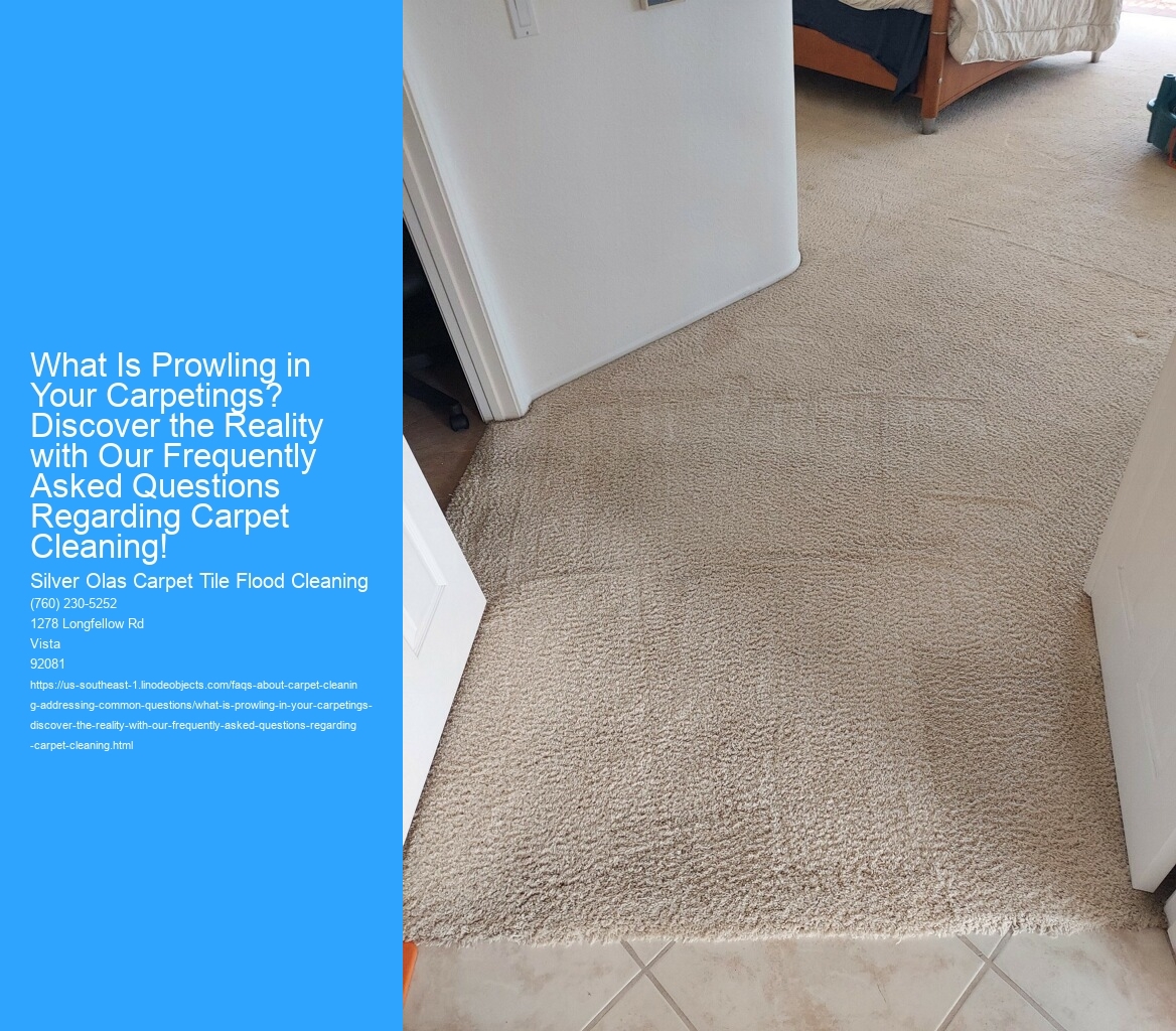 What Is Prowling in Your Carpetings? Discover the Reality with Our Frequently Asked Questions Regarding Carpet Cleaning!