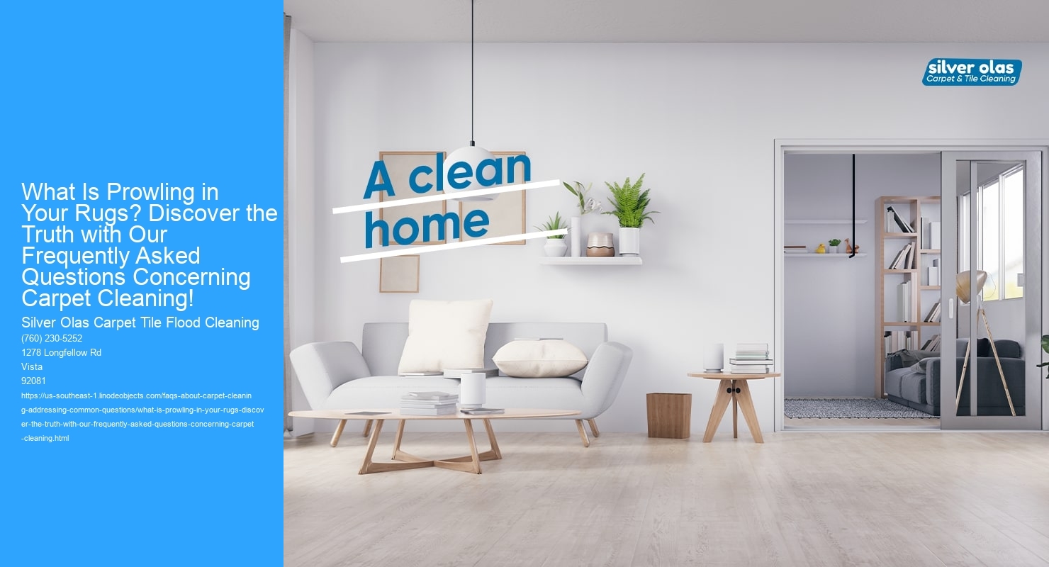 What Is Prowling in Your Rugs? Discover the Truth with Our Frequently Asked Questions Concerning Carpet Cleaning!